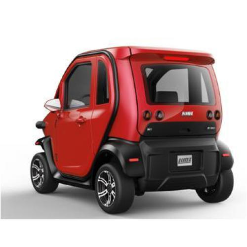Electric mini vehicle for disabled two seat